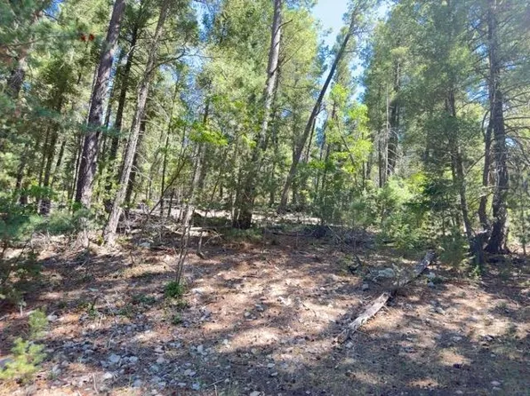 Blue Grass Dr, Cloudcroft, NM 88317