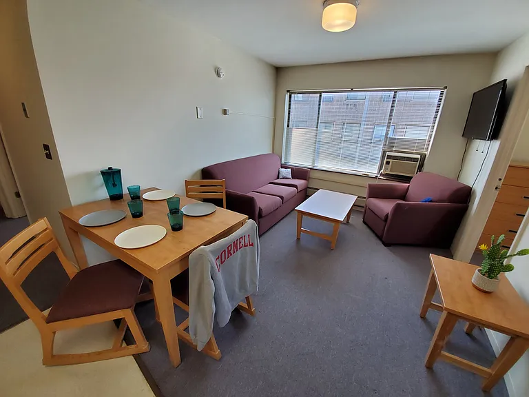 Collegetown Court, 208 Dryden Road — Photo 106