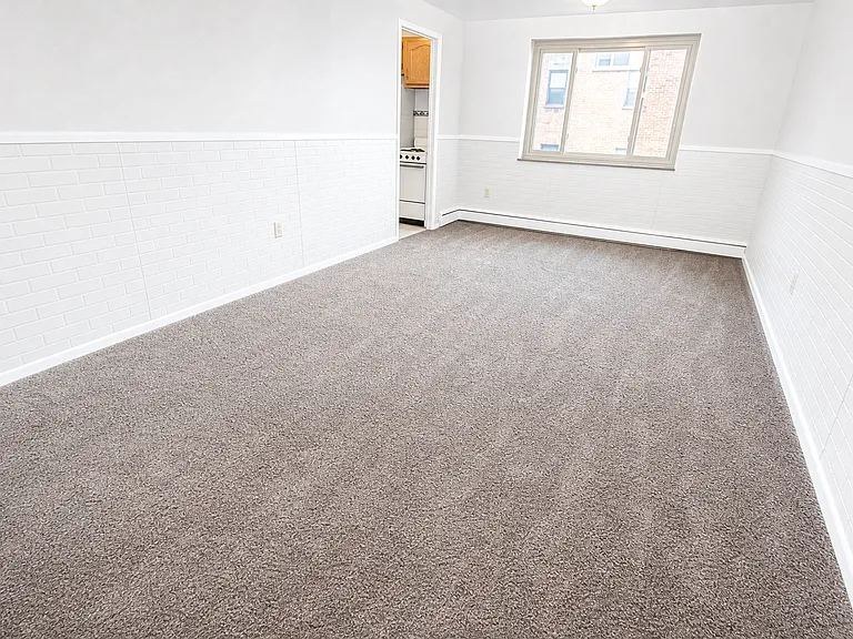 Carpeted 1 Bed/1 Bath (Unit 307)