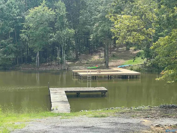 29 County Road 819, Cedar Bluff, AL 35959