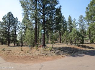 2913 Silver Dollar St, Overgaard, AZ 85933