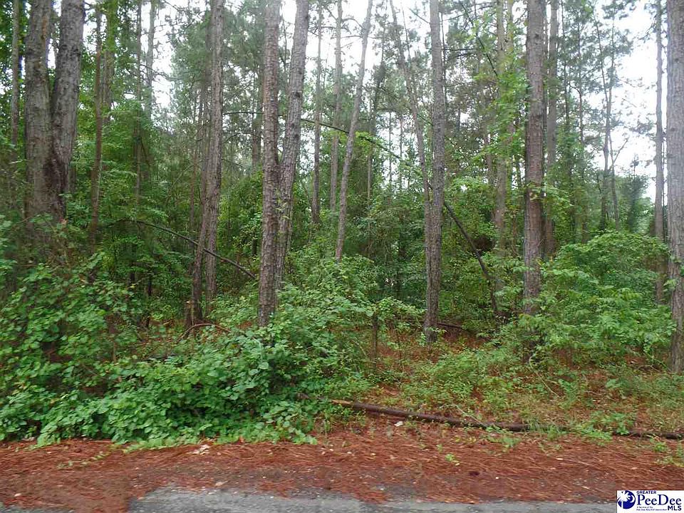 1st image of Palmetto Dr Lot 49