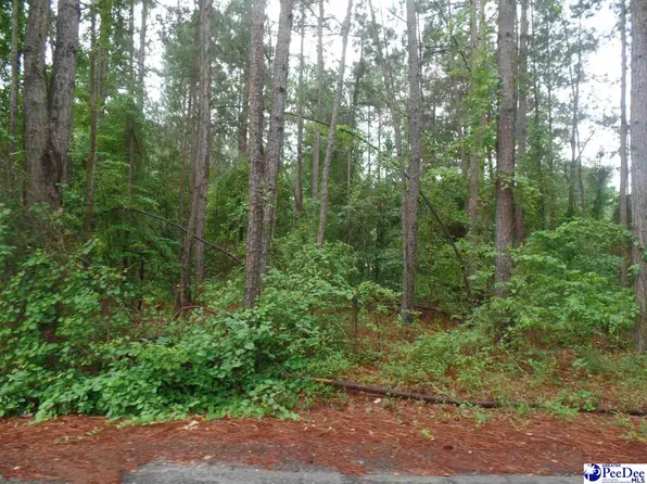 Palmetto Dr Lot 49, Hartsville, SC 29550