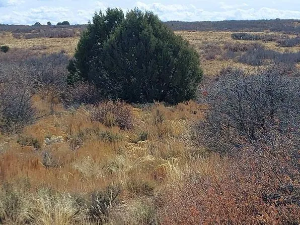 TBD Road C, Dove Creek, CO 81324