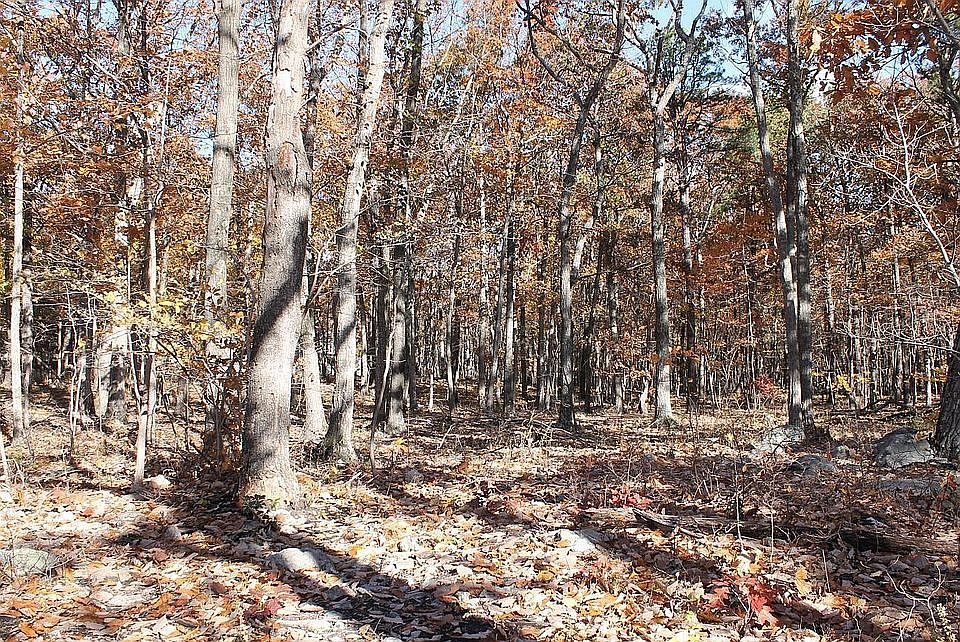 1st image of 501 Panther Dr