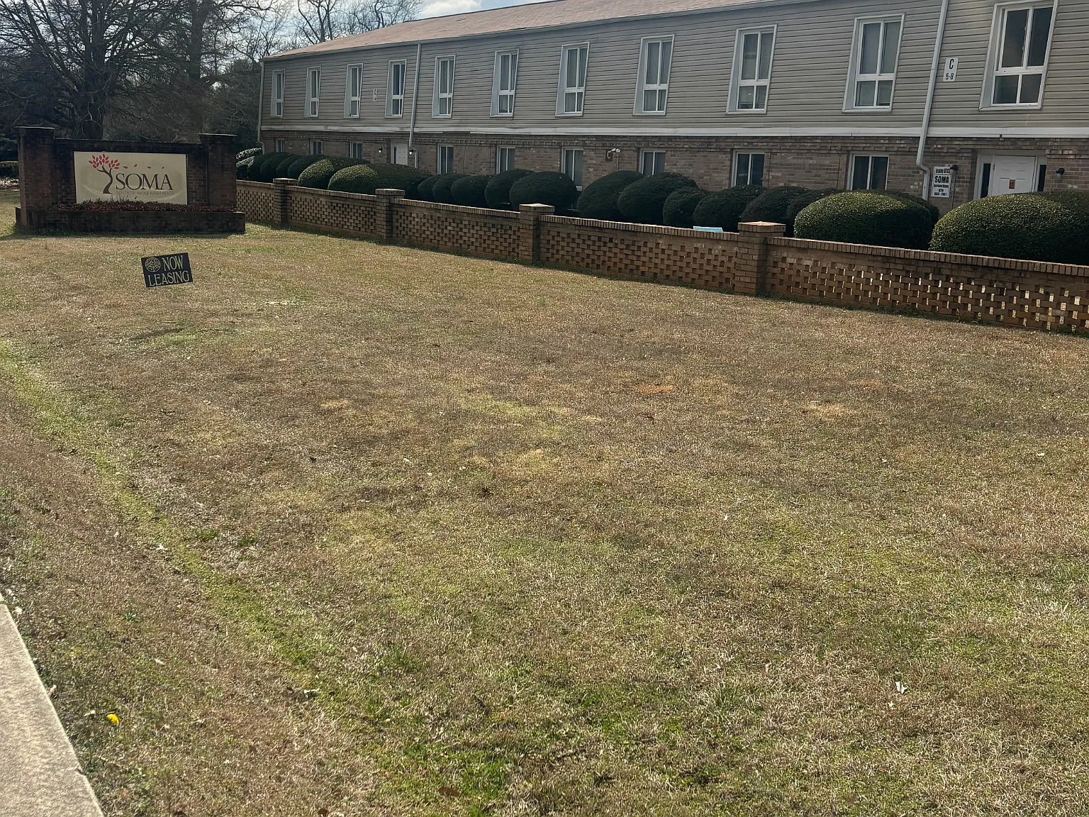 South of Maple Apartments — Photo 3