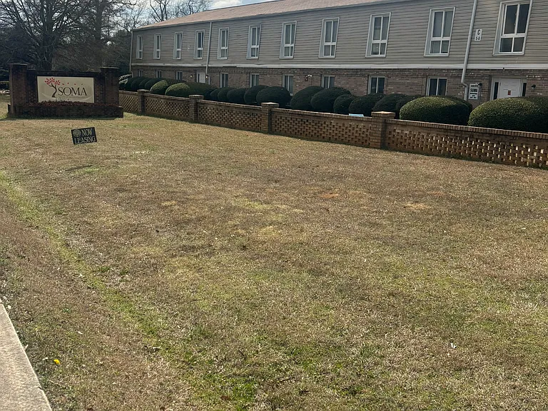 South of Maple Apartments — Photo 3