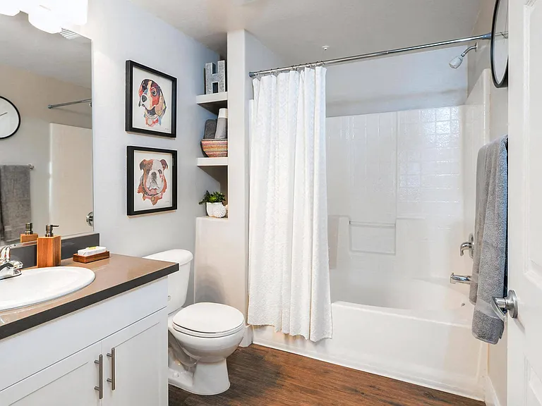 Stylish Bathroom Featuring Granite Countertops and Built-In Shelving