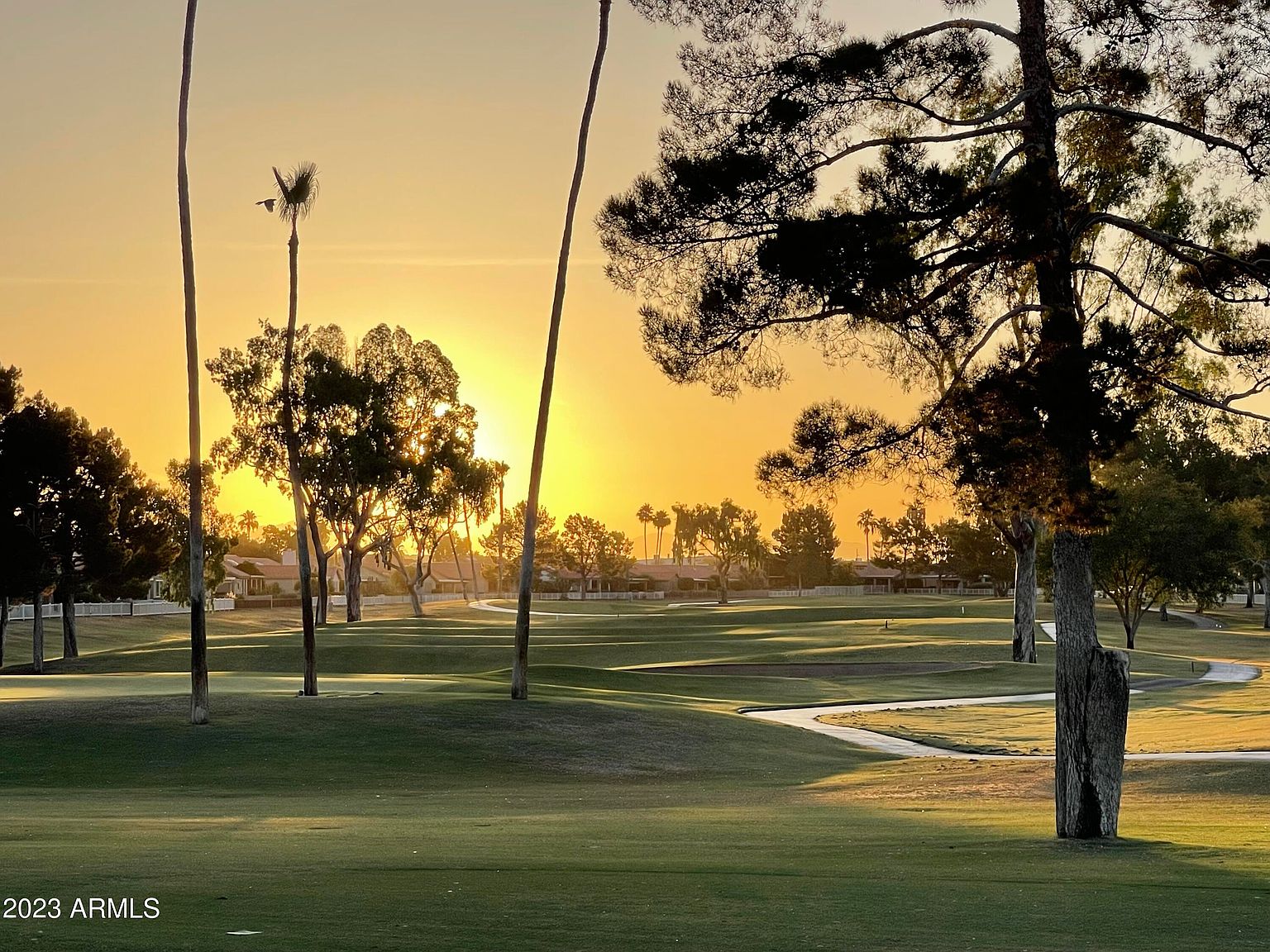 25845 S Ribbonwood Dr