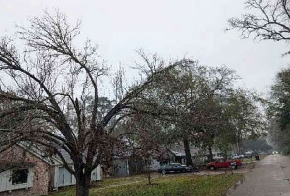 Exterior Neighborhood (street photo)