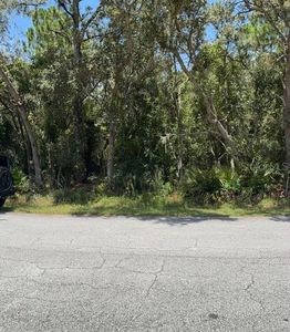 6361 W Appomattox Ln Lot 29, Homosassa, FL, 34448