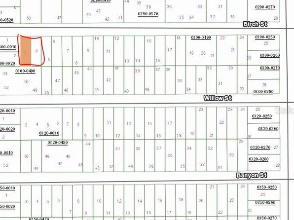 0 Birch St #3-4, Interlachen, FL 32148