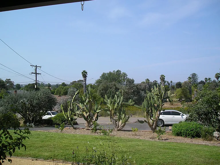1545 Sunrise Dr — Photo 9