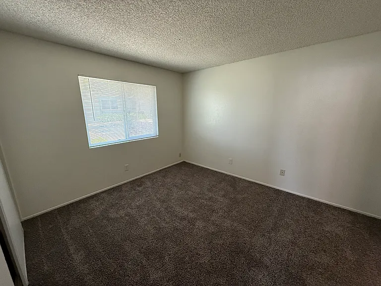 1457 Clemson Way — Photo 12