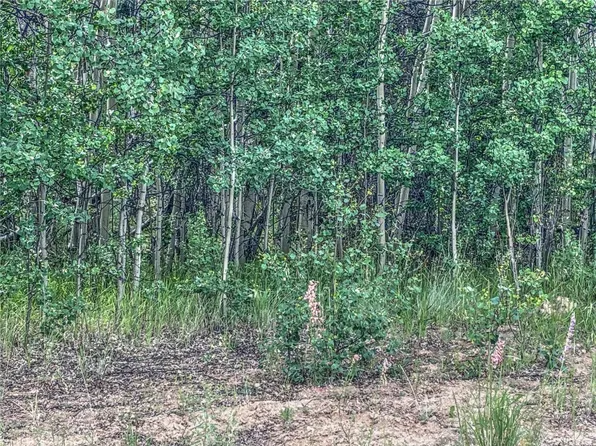 58 Osprey Rd, Como, CO 80432