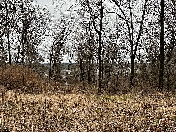 3rd image of 613 Riverview Lndg Lot 46