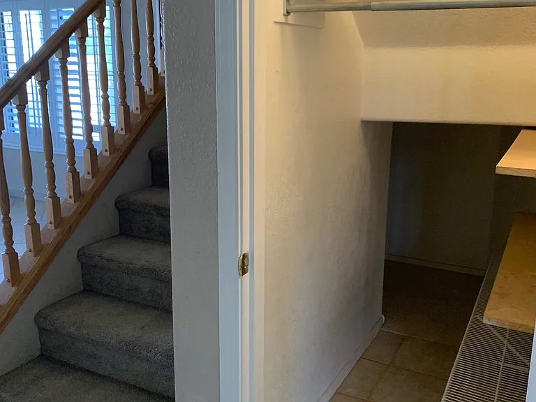 Closet under stairs