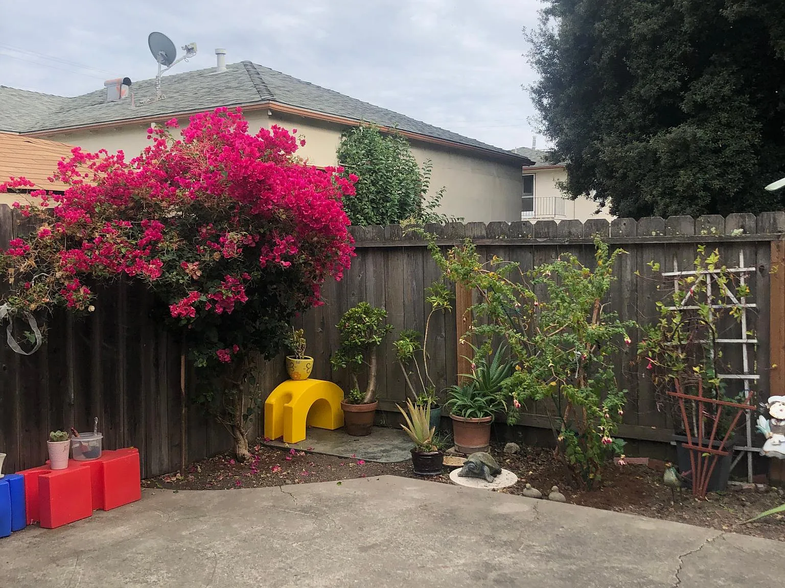 485 Juana Ave — Photo 3