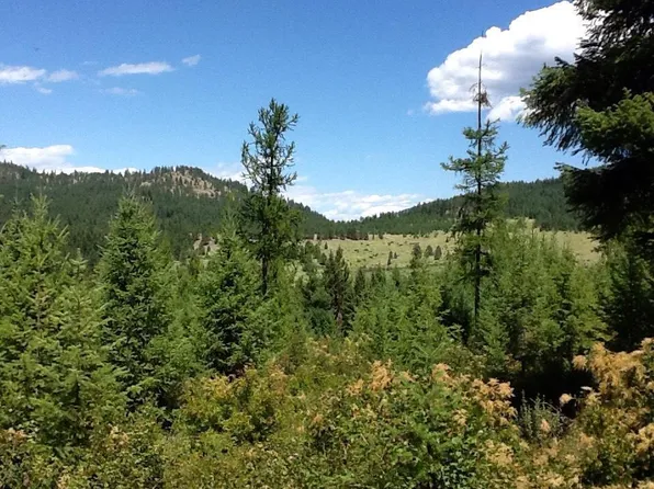 2599 Scott Rd, Rice, WA 99167