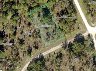 16167 Sheldrake Loop, Weeki Wachee, FL 34614