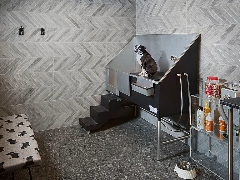 Apartment community Pet Washing Station at Griffis Cheesman Park in Denver, Colorado.