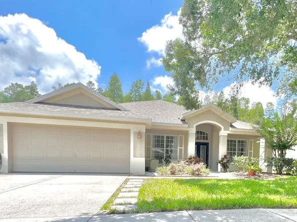 19730 Morden Blush Dr, Lutz, FL 33558
