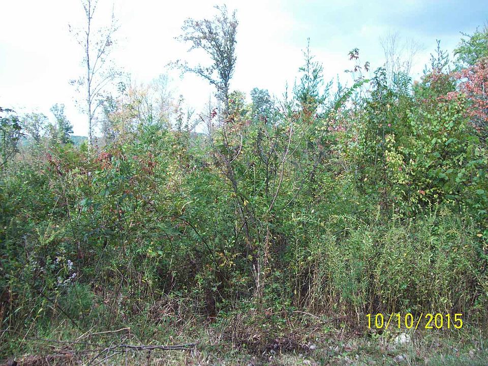 2nd image of Pollard Cemetery Rd