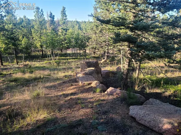 19 Aster Rd, Woodland Park, CO 80863