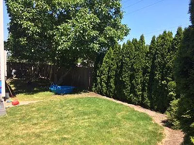 East portion of backyard