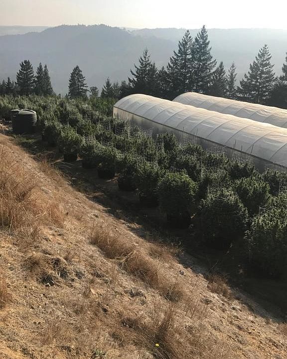 400 Ashfield Buttes Rd, Kneeland, CA 95549 Zillow