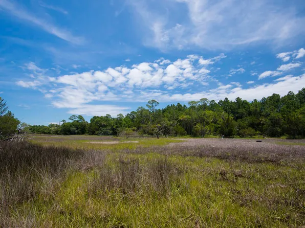 205 Chinaberry Ln, Kiawah Island, SC 29455