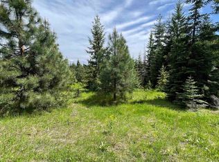 Elderberry Dr PARCEL 10, Orofino, ID 83544