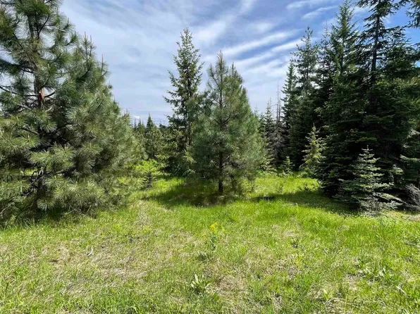 Elderberry Dr Parcel 10, Orofino, ID 83544