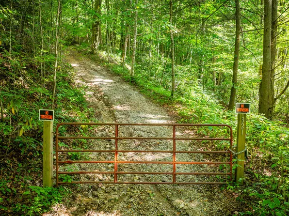 321 Browns Branch Rd, Hampton, TN 37658