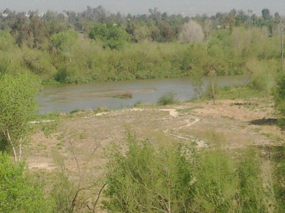 view from backyard