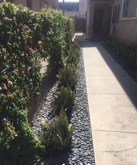 102 N Hayworth Ave #3 — Photo 11