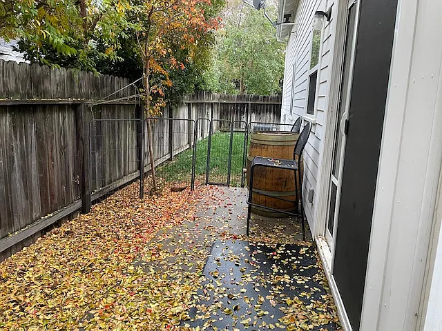 Back Yard