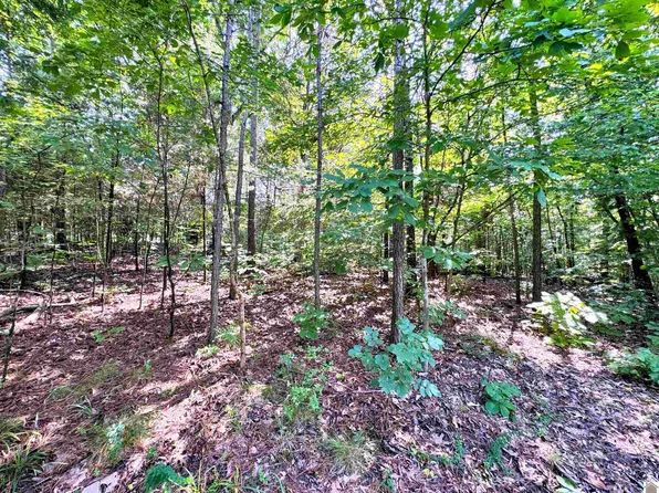 0 Oakview Lane Lots 33 #34-35, Murray, KY 42071