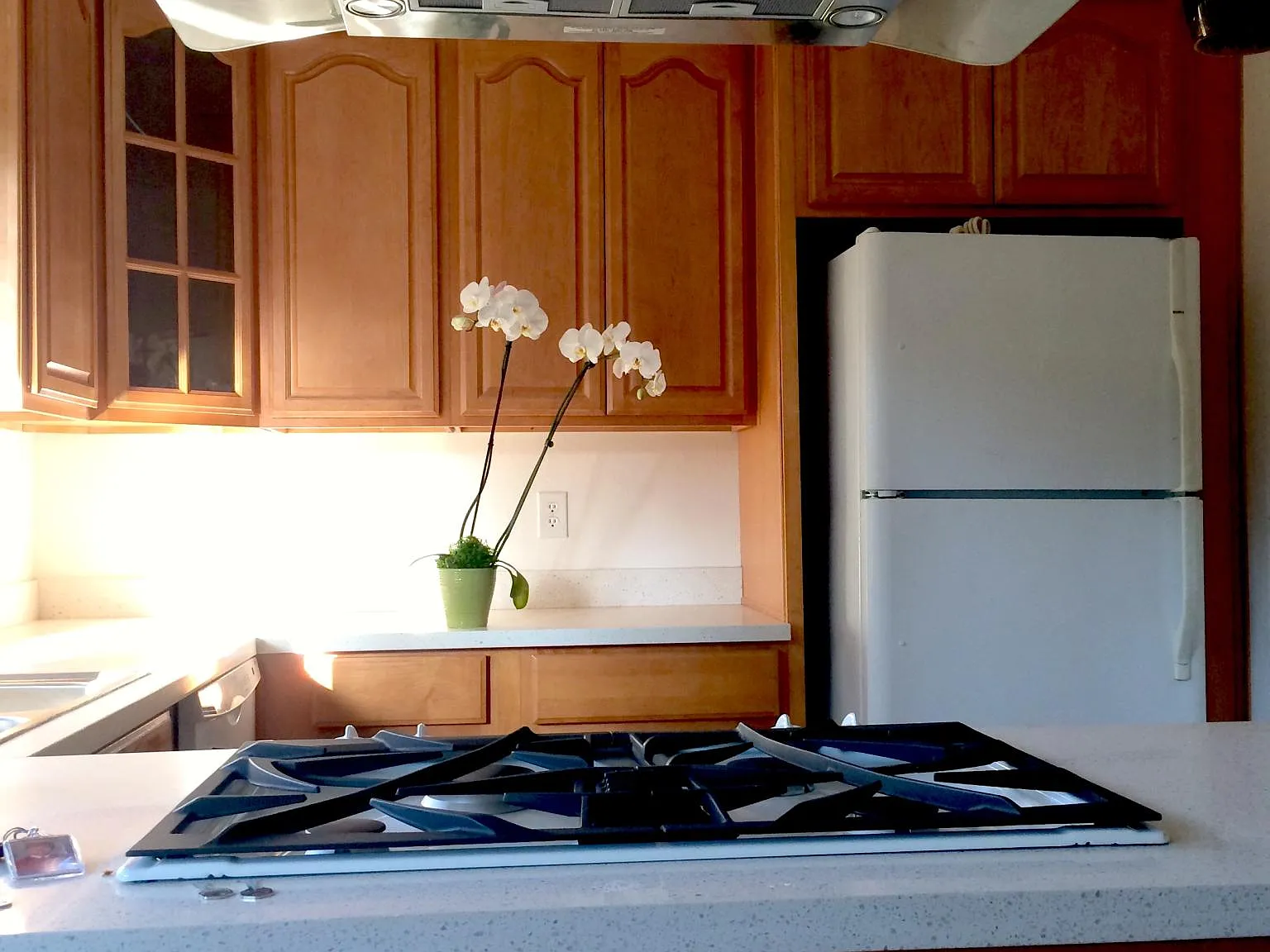 3 bed, 2.5 bath, 1400 sqft, $4,000 — Photo 1