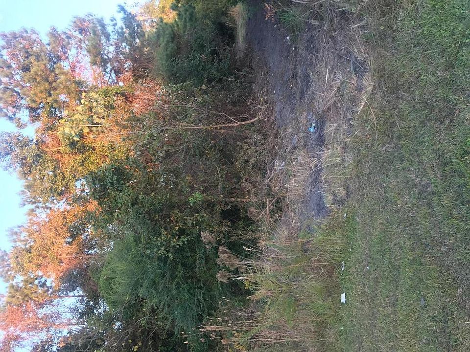 2nd image of 344 Maplewood Rd