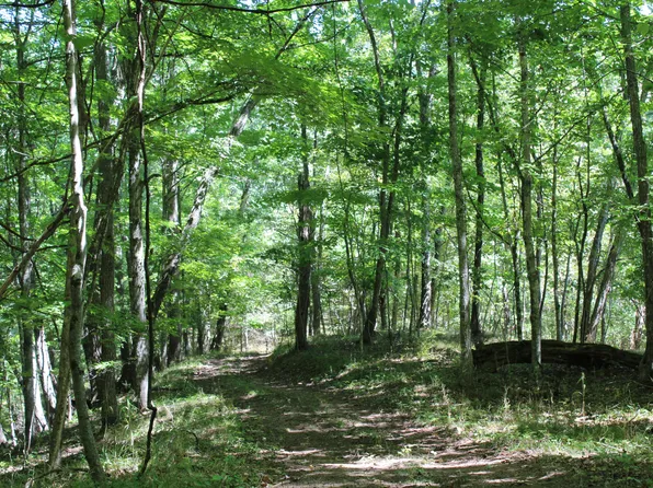 Highlander Trl, Lewisburg, WV 24901