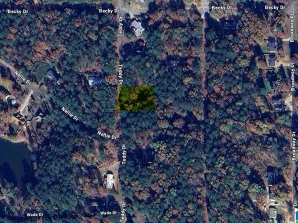 Teddy Drive Sector #23-17, Mc Calla, AL 35111