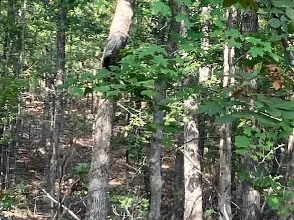 184 Madison St #410, Fredericktown, MO 63645