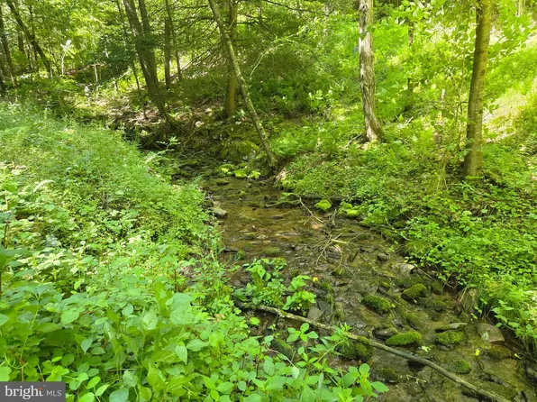 0 Carlisle Gap Rd, Lewistown, PA 17044