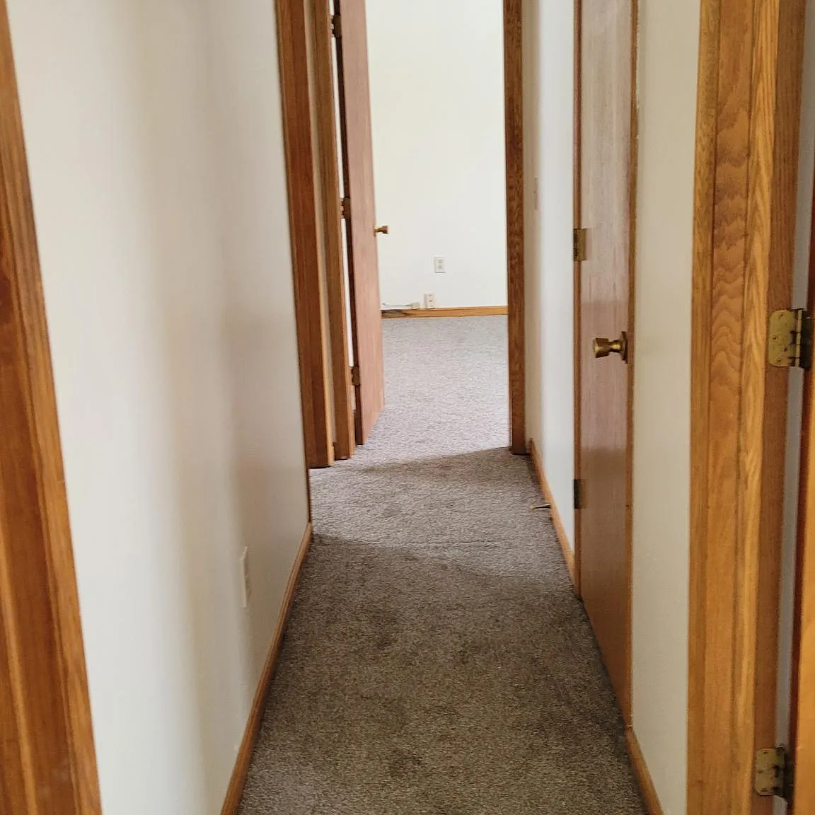 3 bed, 1700 sqft, $1,100 — Photo 2
