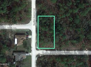 13181 Roxy Ave, BROOKSVILLE, FL 34614