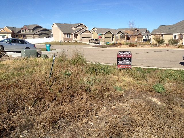 1st image of 355 Goose Lake Ct