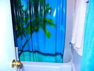 Rented by Brooklyn Heights Real Estate Inc