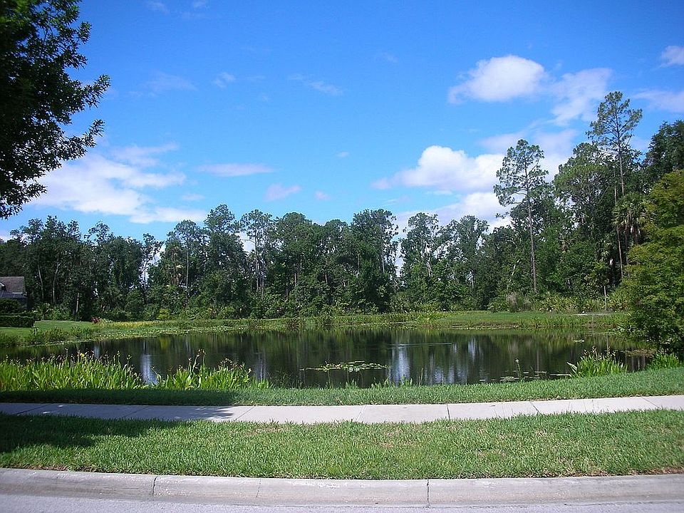 View from across lake