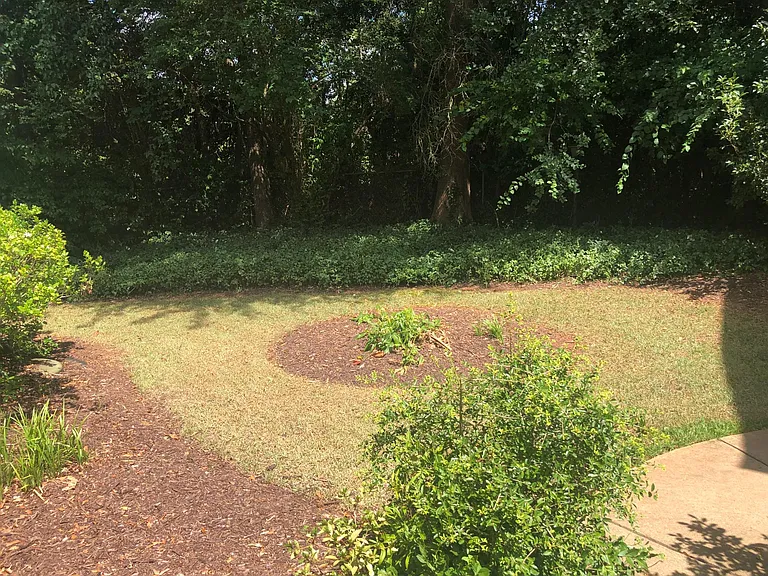 Garden area where you can relax and spend some time with nature
